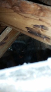 Home Re-piping of Water Lines