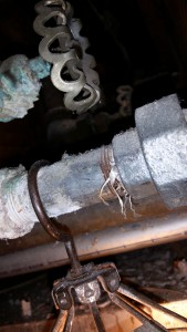 Home Re-piping of Water Lines