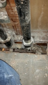 Home Re-piping of Water Lines