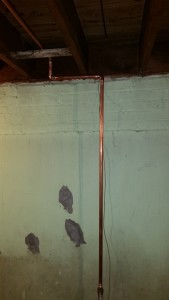 Home Re-piping of Water Lines