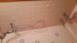 Bathroom Shower Faucet