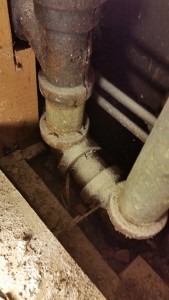 Kitchen Drain Replacement